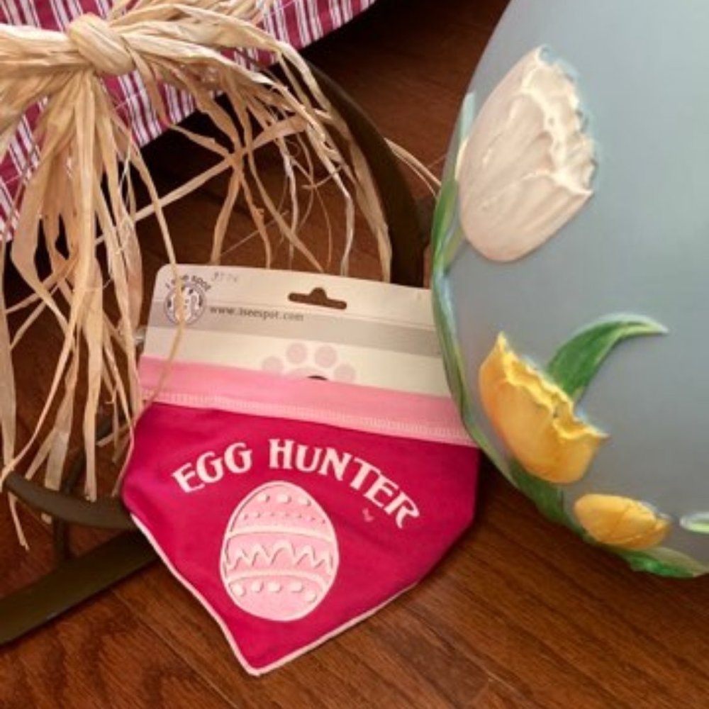 I See Spot Easter Pet Bandana